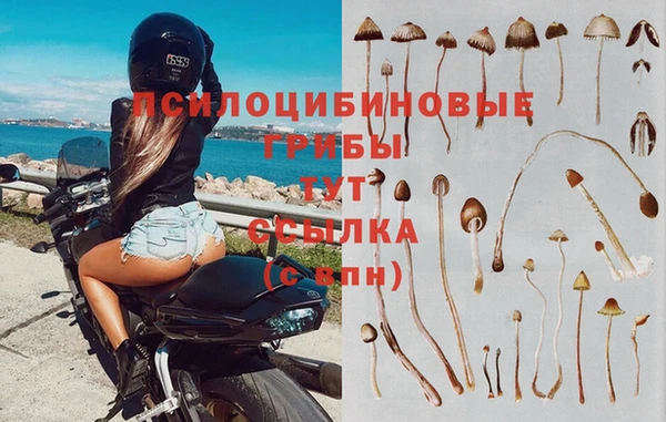 Альфа ПВП Пересвет