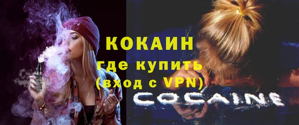 Альфа ПВП Пересвет