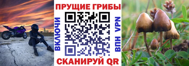 omg ссылка  Приморско-Ахтарск  Галлюциногенные грибы ЛСД 