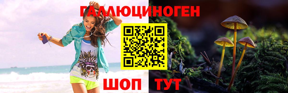 Галлюциногенные грибы прущие грибы Приморско-Ахтарск